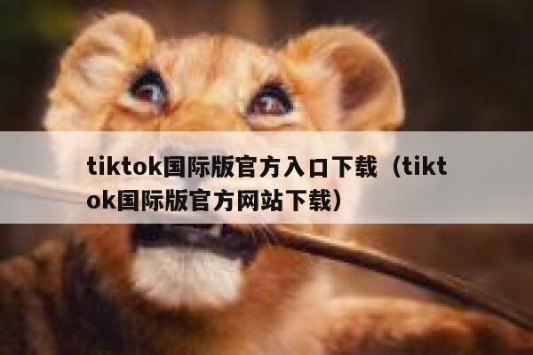 tiktok国际版官方入口下载（tiktok国际版官方网站下载） 第1张