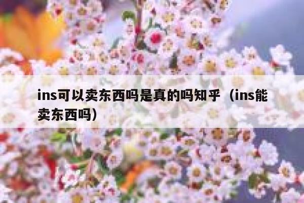 ins可以卖东西吗是真的吗知乎（ins能卖东西吗） 第1张