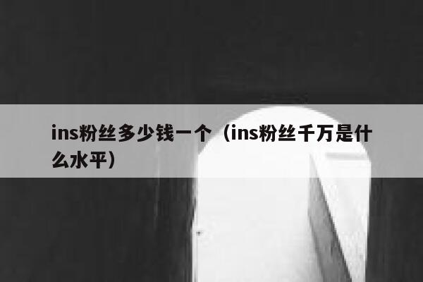 ins粉丝多少钱一个（ins粉丝千万是什么水平） 第1张