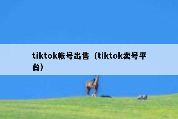 tiktok帐号出售（tiktok卖号平台） 第1张