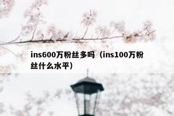 ins600万粉丝多吗（ins100万粉丝什么水平） 第1张