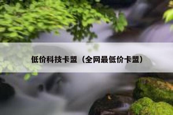 低价科技卡盟（全网最低价卡盟） 第1张