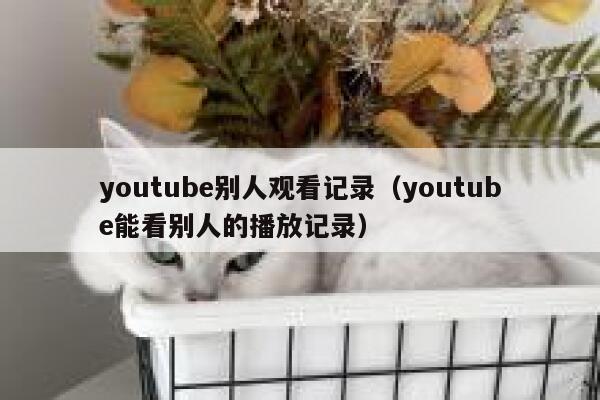 youtube别人观看记录（youtube能看别人的播放记录） 第1张