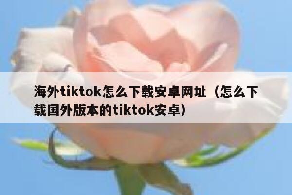 海外tiktok怎么下载安卓网址（怎么下载国外版本的tiktok安卓） 第1张