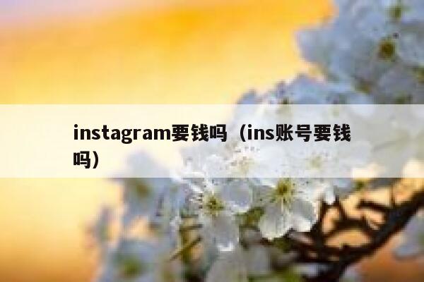 instagram要钱吗（ins账号要钱吗） 第1张
