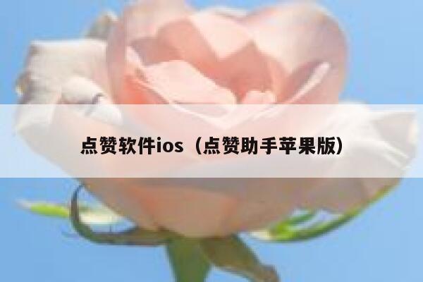 点赞软件ios（点赞助手苹果版） 第1张