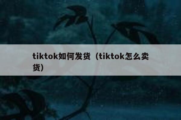 tiktok如何发货（tiktok怎么卖货） 第1张