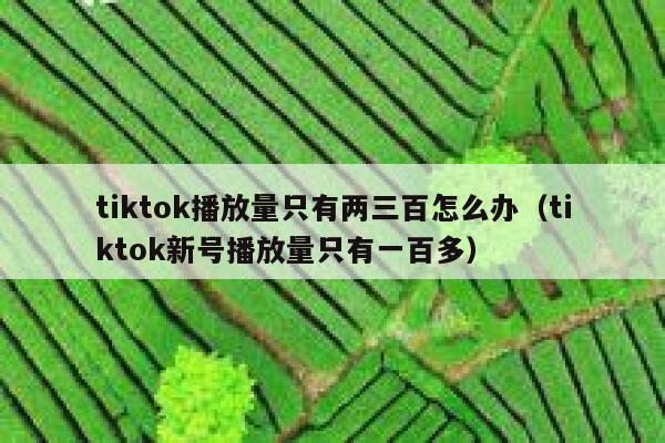 tiktok播放量只有两三百怎么办（tiktok新号播放量只有一百多） 第1张
