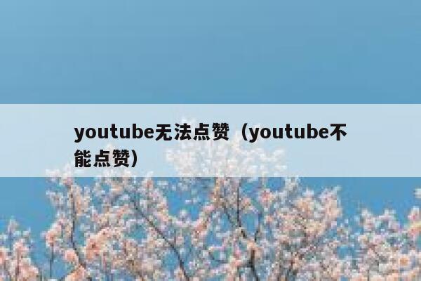 youtube无法点赞（youtube不能点赞） 第1张