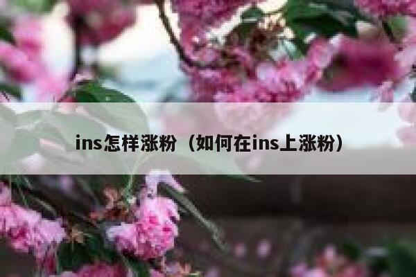 ins怎样涨粉（如何在ins上涨粉） 第1张
