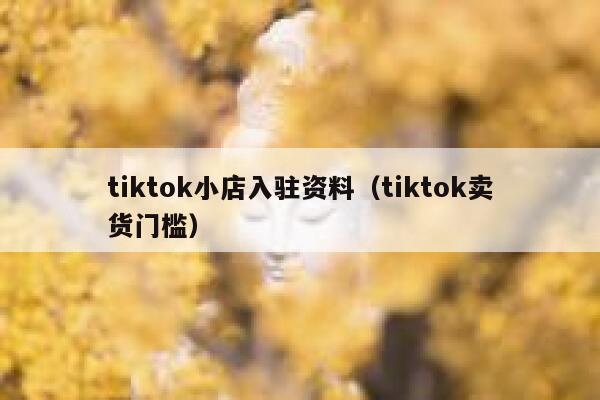 tiktok小店入驻资料（tiktok卖货门槛） 第1张