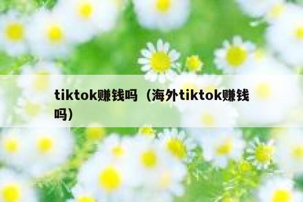 tiktok赚钱吗（海外tiktok赚钱吗） 第1张