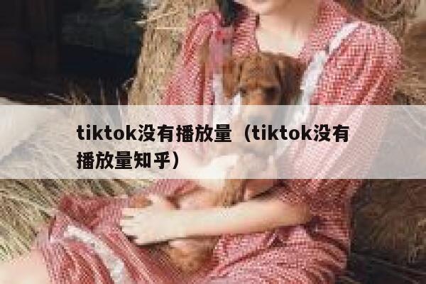 tiktok没有播放量（tiktok没有播放量知乎） 第1张