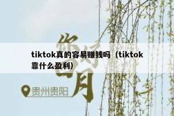 tiktok真的容易赚钱吗（tiktok靠什么盈利） 第1张