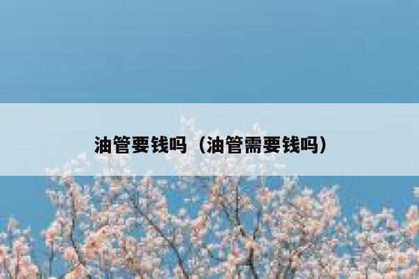 油管要钱吗（油管需要钱吗） 第1张