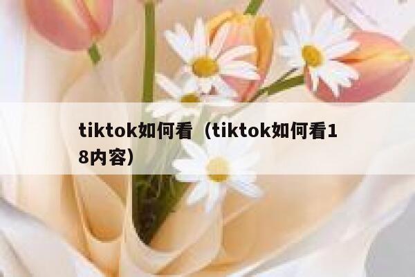 tiktok如何看（tiktok如何看18内容） 第1张