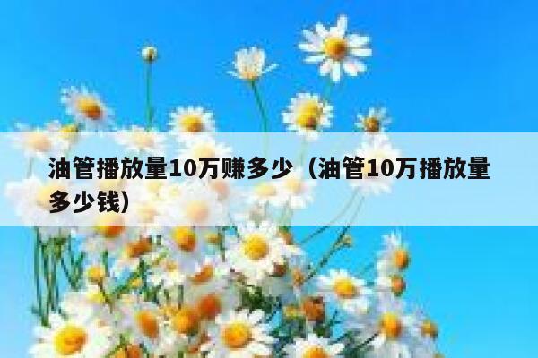油管播放量10万赚多少（油管10万播放量多少钱） 第1张
