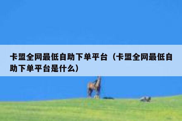 卡盟全网最低自助下单平台（卡盟全网最低自助下单平台是什么） 第1张