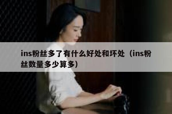 ins粉丝多了有什么好处和坏处（ins粉丝数量多少算多） 第1张