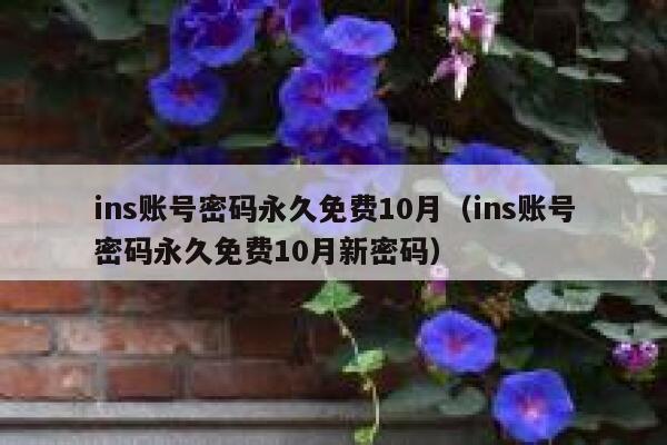 ins账号密码永久免费10月（ins账号密码永久免费10月新密码） 第1张