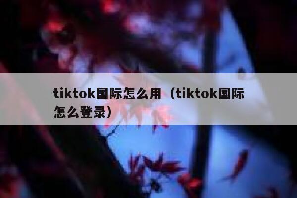 tiktok国际怎么用（tiktok国际怎么登录） 第1张