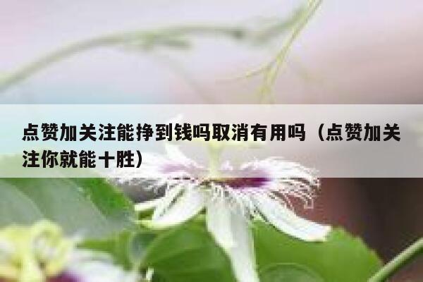 点赞加关注能挣到钱吗取消有用吗（点赞加关注你就能十胜） 第1张