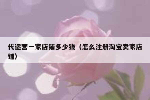 代运营一家店铺多少钱（怎么注册淘宝卖家店铺） 第1张