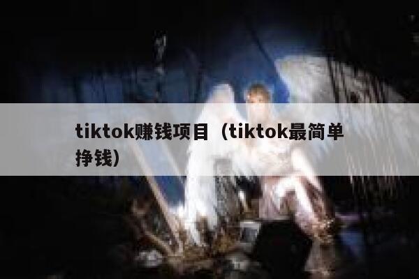 tiktok赚钱项目（tiktok最简单挣钱） 第1张