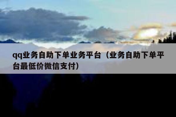qq业务自助下单业务平台（业务自助下单平台最低价微信支付） 第1张