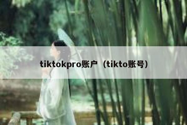 tiktokpro账户（tikto账号） 第1张