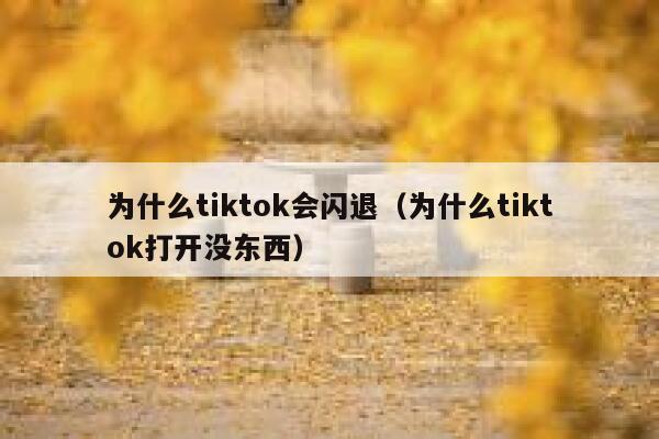 为什么tiktok会闪退（为什么tiktok打开没东西） 第1张