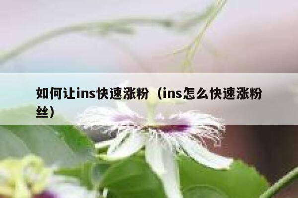 如何让ins快速涨粉（ins怎么快速涨粉丝） 第1张