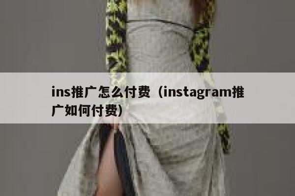 ins推广怎么付费（instagram推广如何付费） 第1张