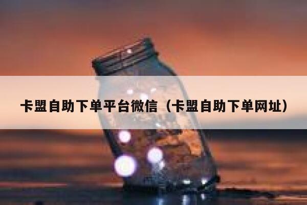 卡盟自助下单平台微信（卡盟自助下单网址） 第1张