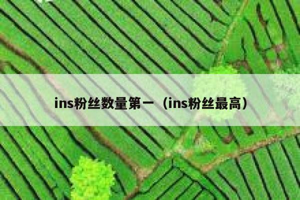 ins粉丝数量第一（ins粉丝最高） 第1张
