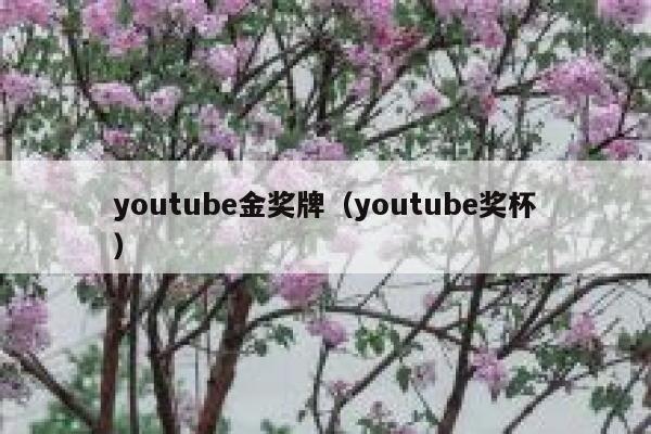youtube金奖牌（youtube奖杯） 第1张