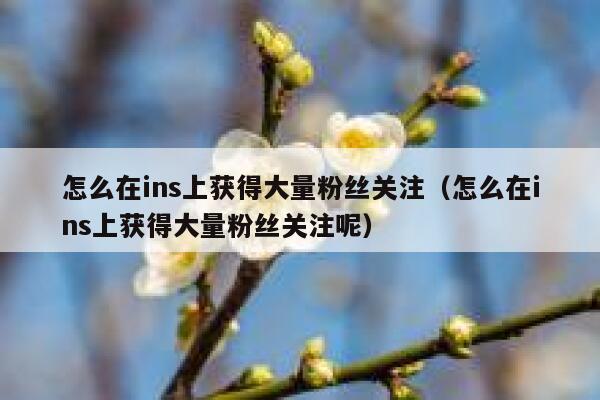 怎么在ins上获得大量粉丝关注（怎么在ins上获得大量粉丝关注呢） 第1张