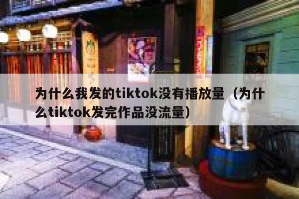 为什么我发的tiktok没有播放量（为什么tiktok发完作品没流量） 第1张