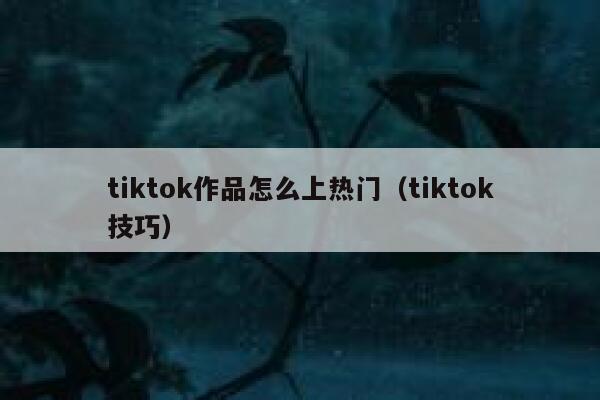 tiktok作品怎么上热门（tiktok技巧） 第1张