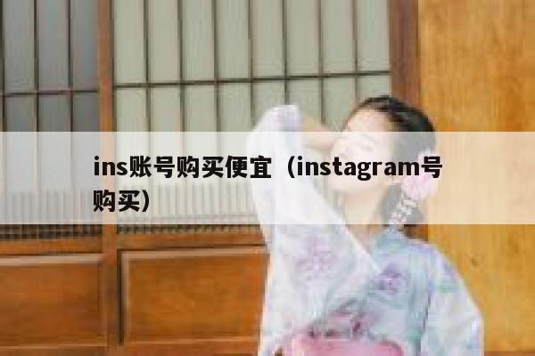 ins账号购买便宜（instagram号购买） 第1张