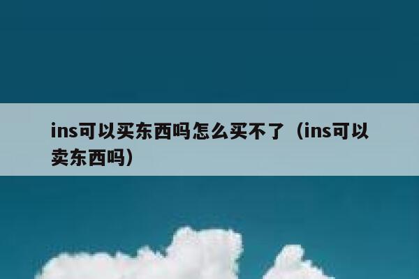 ins可以买东西吗怎么买不了（ins可以卖东西吗） 第1张
