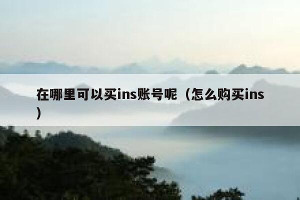 在哪里可以买ins账号呢（怎么购买ins） 第1张