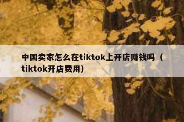 中国卖家怎么在tiktok上开店赚钱吗（tiktok开店费用） 第1张