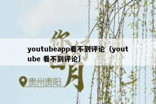 youtubeapp看不到评论（youtube 看不到评论） 第1张