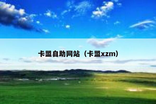 卡盟自助网站（卡盟xzm） 第1张