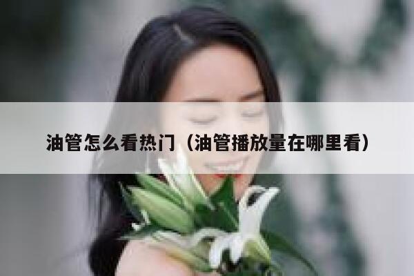 油管怎么看热门（油管播放量在哪里看） 第1张