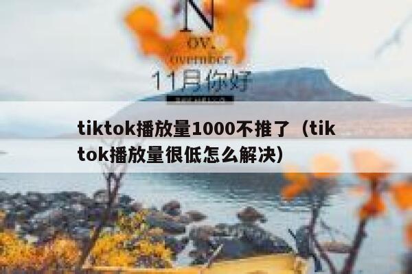 tiktok播放量1000不推了（tiktok播放量很低怎么解决） 第1张