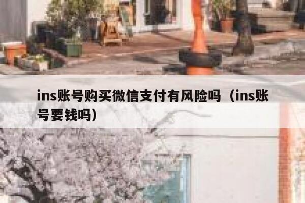 ins账号购买微信支付有风险吗（ins账号要钱吗） 第1张