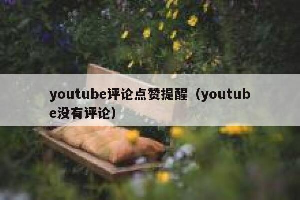 youtube评论点赞提醒（youtube没有评论） 第1张
