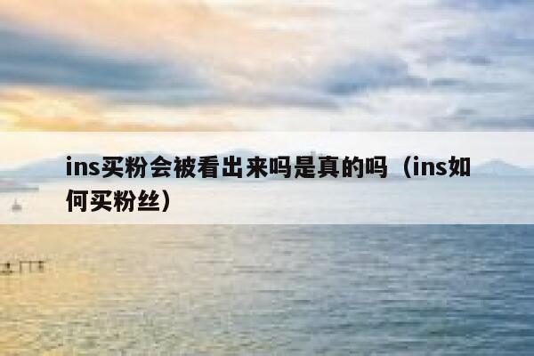 ins买粉会被看出来吗是真的吗（ins如何买粉丝） 第1张